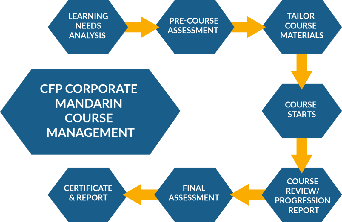 Learning Needs Analysis > Pre-course Assessment > Tailor Course Materials > Course Starts > Course Review/ Progression Report > Final Assessment > Certificate & Report