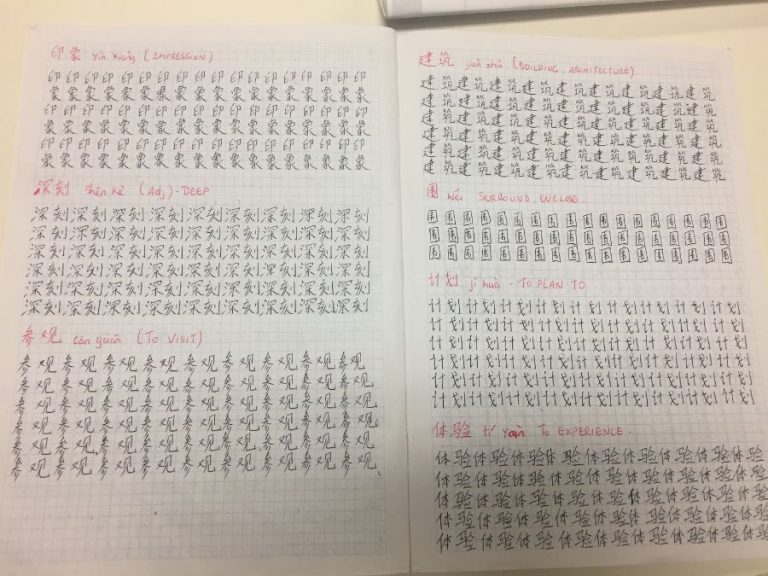 How do I learn Chinese characters fast? | Chinese for Professionals